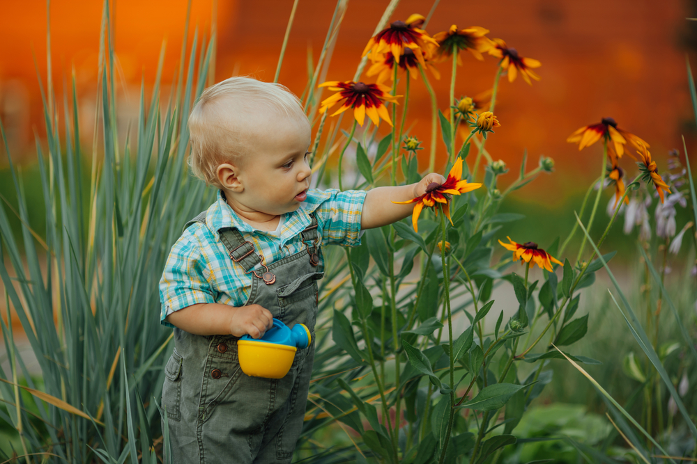 6 tips voor het inrichten van een kindvriendelijke tuin